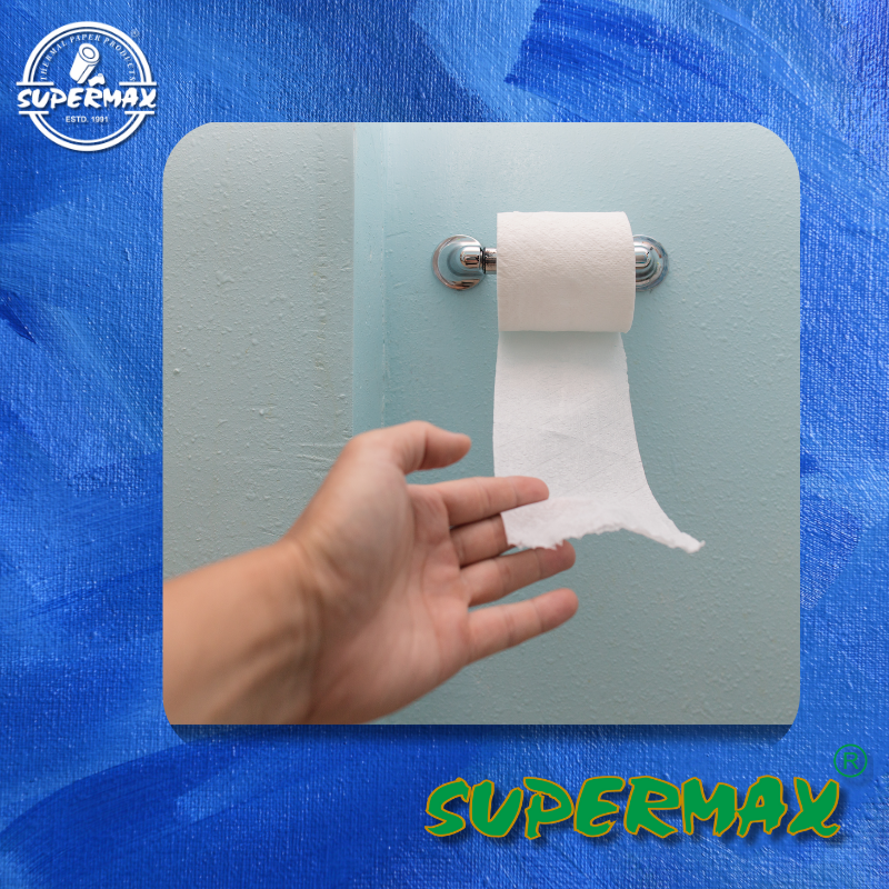 SUPERMAX Bathroom Tissue Roll 2 Ply 200 Gram | Thick & Strong | 10 Roll Combo Pack