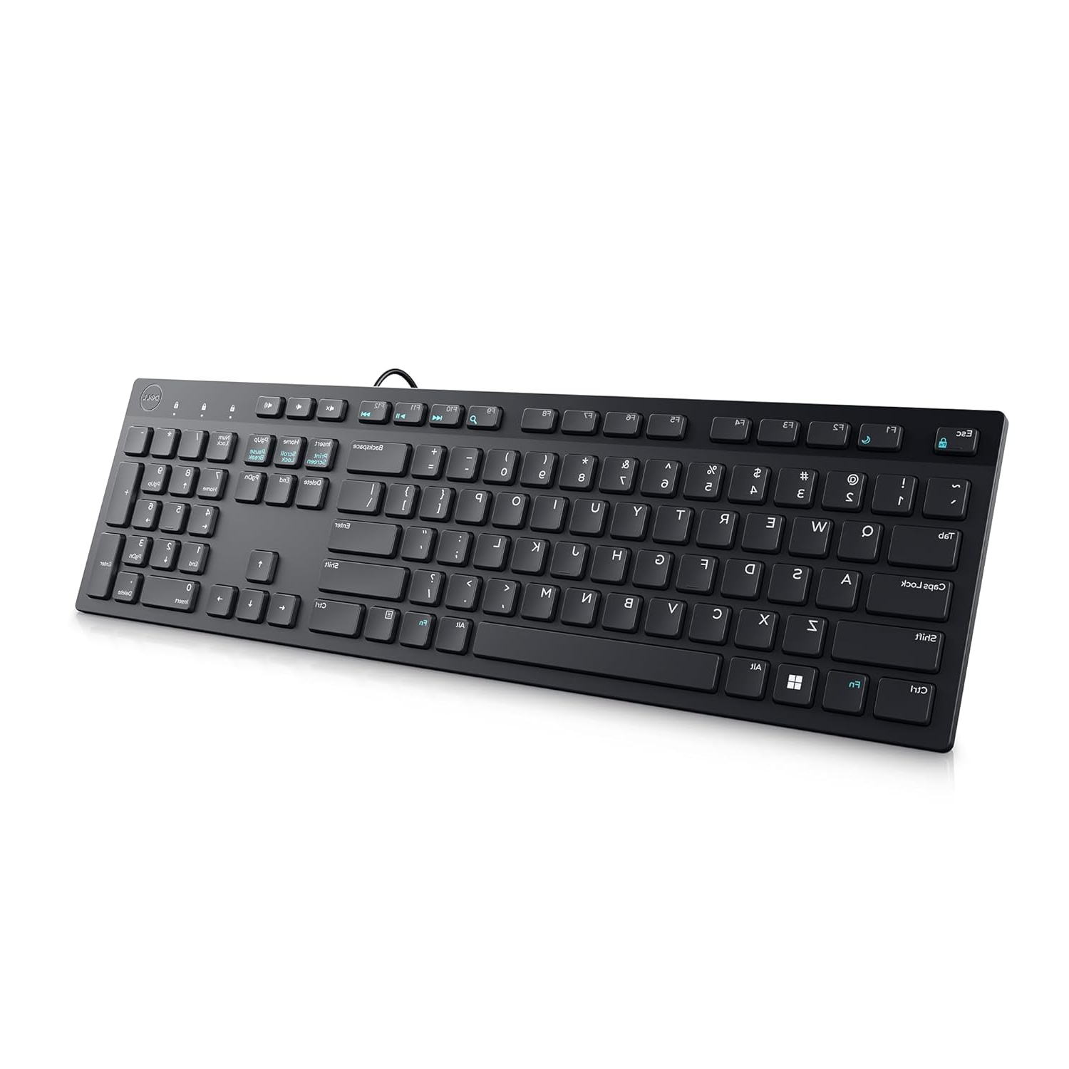 Dell KB216 Multimedia Wired USB Keyboard - Chiclet Keys, Hotkeys, Spill-Resistant, Plug and Play (Black)